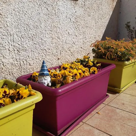 Guest house Barbara Veruda Porat