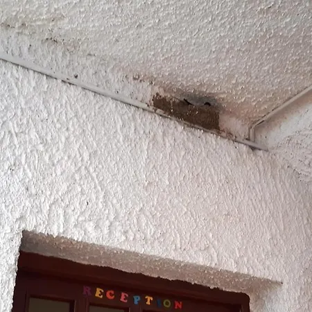 芭芭拉维罗达波拉特公寓酒店