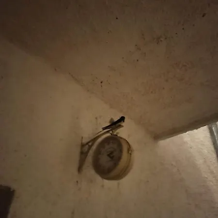芭芭拉维罗达波拉特公寓酒店 招待所 3*